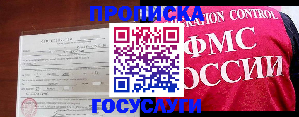 временная регистрация поиск в ЕАО